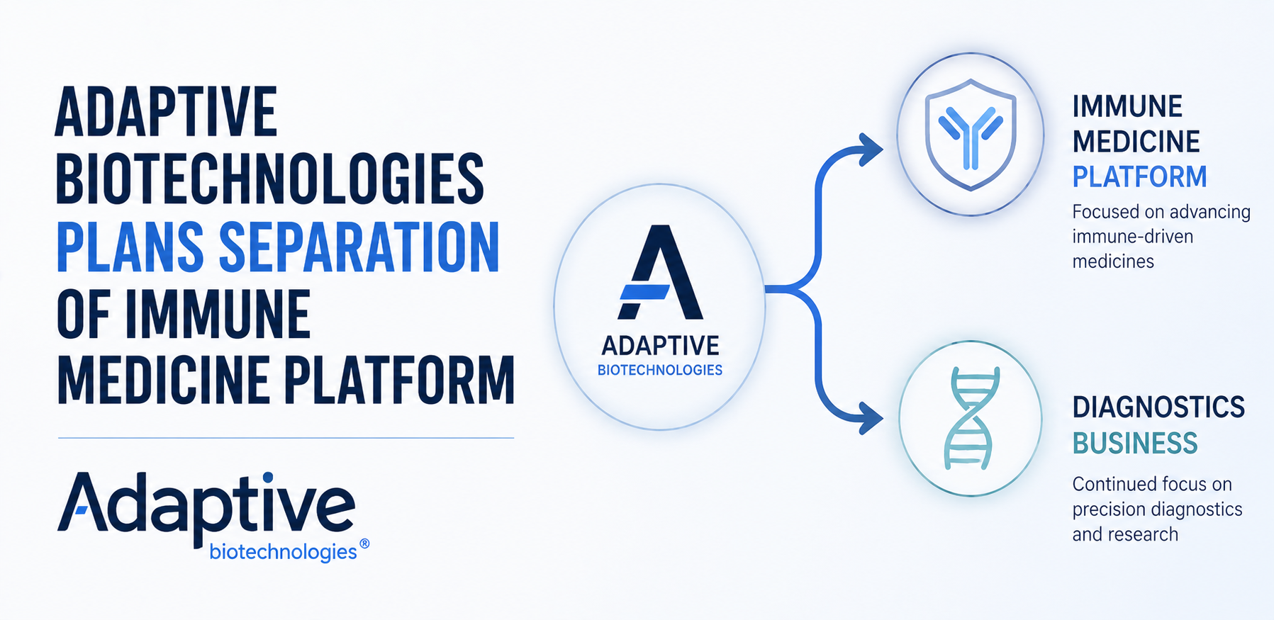 Adaptive Biotechnologies Plans Separation of Immune Medicine Platform
