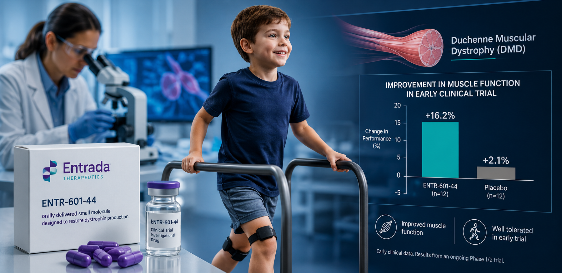 Entrada Duchenne Drug Improves Muscle Function in Early Trial