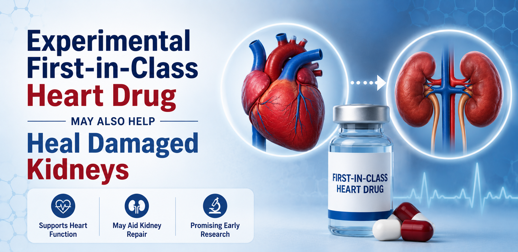Experimental First-in-Class Heart Drug May Also Help Heal Damaged Kidneys