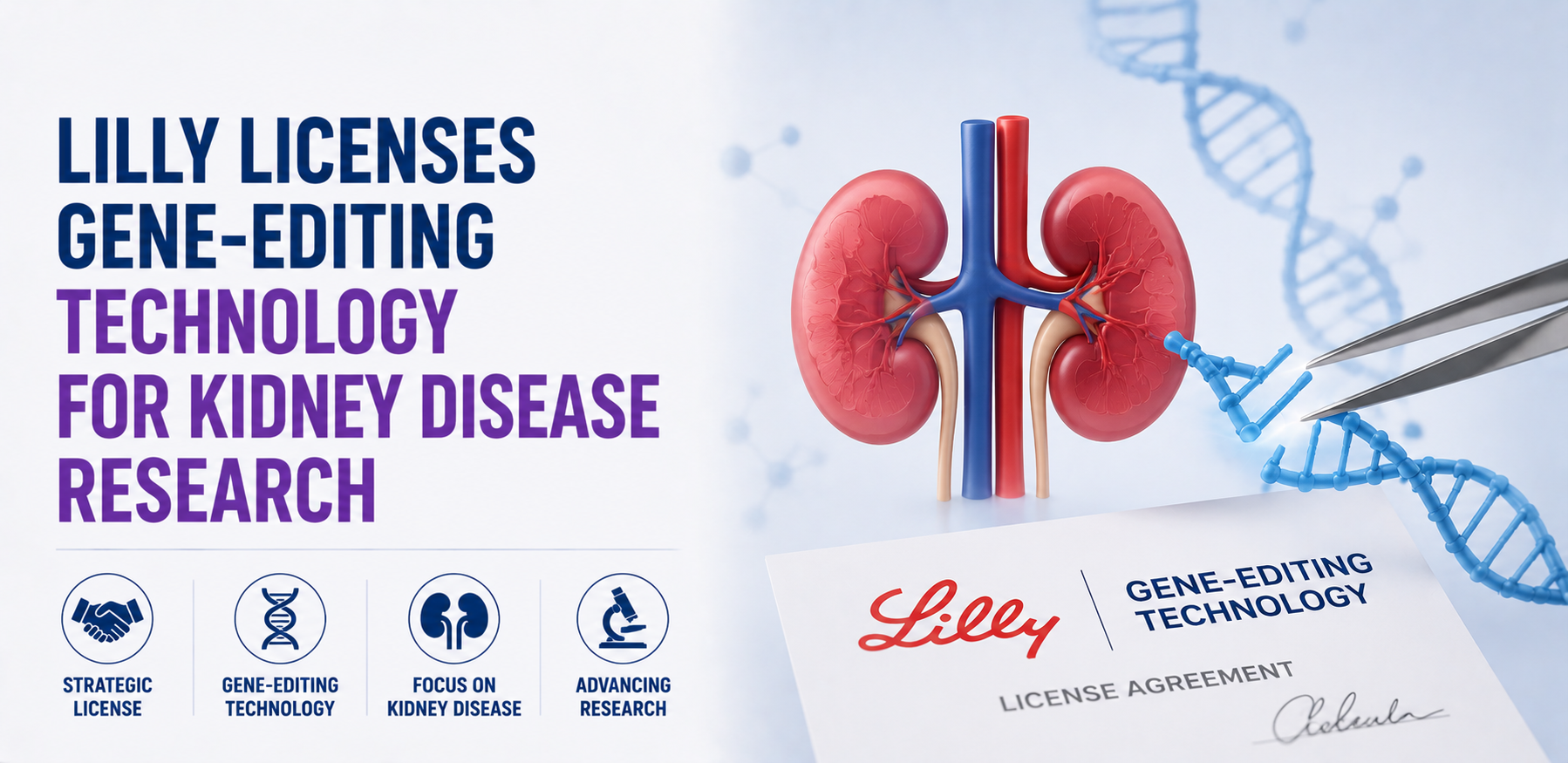 Lilly Licenses Gene-Editing Technology for Kidney Disease Research